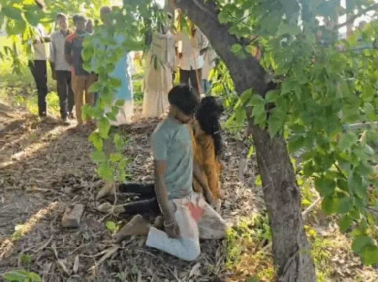 IMG-20250702-WA0433(1)