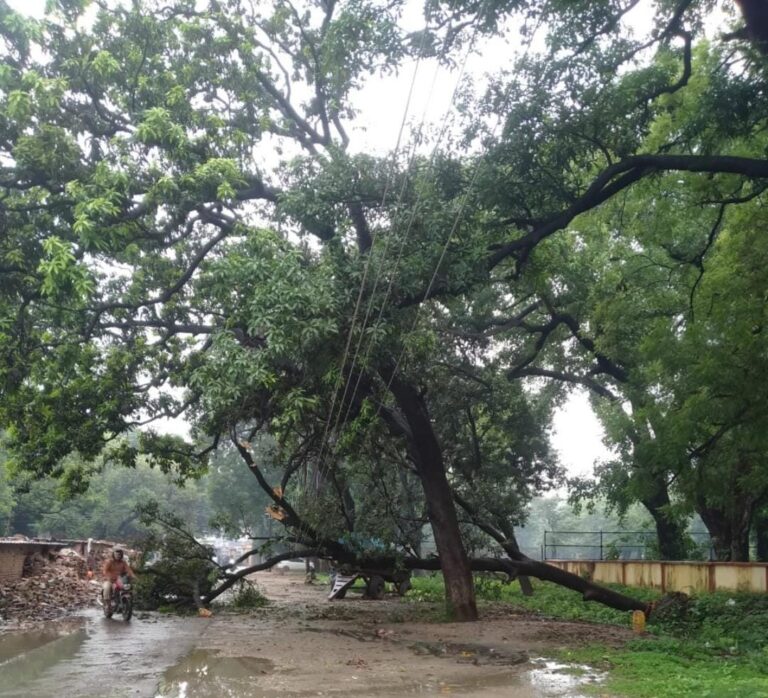 IMG-20250717-WA0321(2)