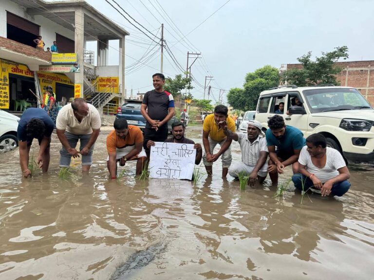 IMG-20250812-WA0559(1)