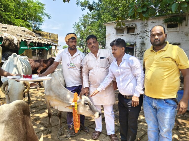 IMG-20250816-WA0923(1)