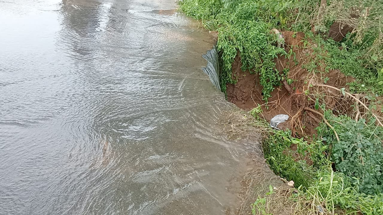 IMG-20251007-WA0943(1)