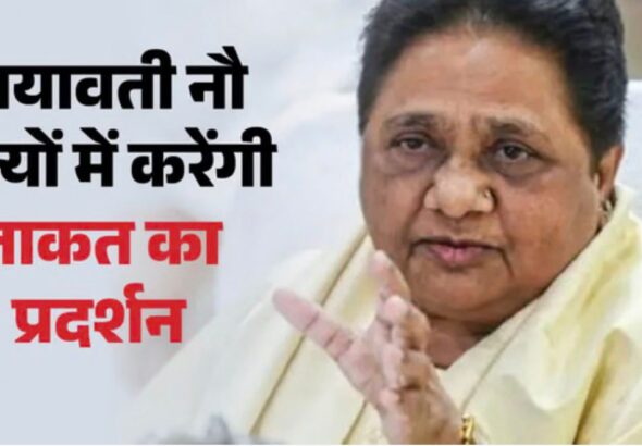 WhatsApp Image 2026-03-12 at 12.17.40 PM