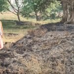 लोहता: कोटवां में शरारती तत्वों ने लगाई आग, डेढ़ बीघे का भूसा जलकर राख, किसान ने मांगा मुआवजा;