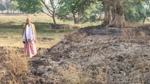 लोहता: कोटवां में शरारती तत्वों ने लगाई आग, डेढ़ बीघे का भूसा जलकर राख, किसान ने मांगा मुआवजा;