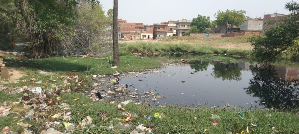 लोहता के कोटवां डिहवा में नाला जाम, घरों में घुस रहा गंदा पानी, तबेले का गोबर बना कारण;