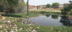 लोहता के कोटवां डिहवा में नाला जाम, घरों में घुस रहा गंदा पानी, तबेले का गोबर बना कारण;