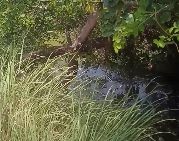 लेहरा शाख नहर पर अतिक्रमण से किसानों में आक्रोश, आंदोलन की चेतावनी;
