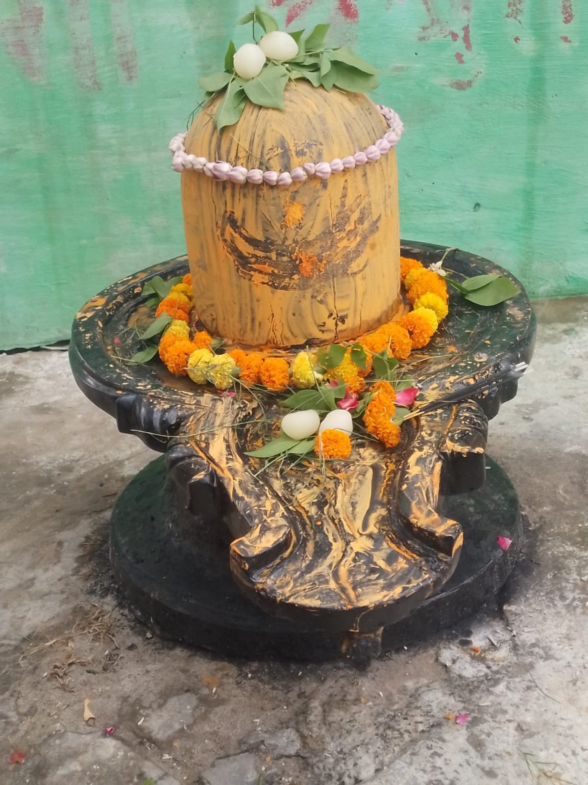 गंगा नदी में मछुआरे के जाल में फंसा विशालकाय शिवलिंग;